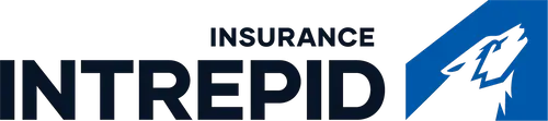 Intrepid Insurance Group